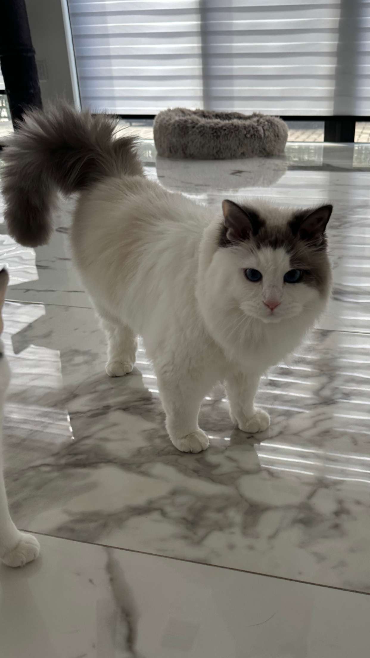 yaslenxoxo snapchat image archive image