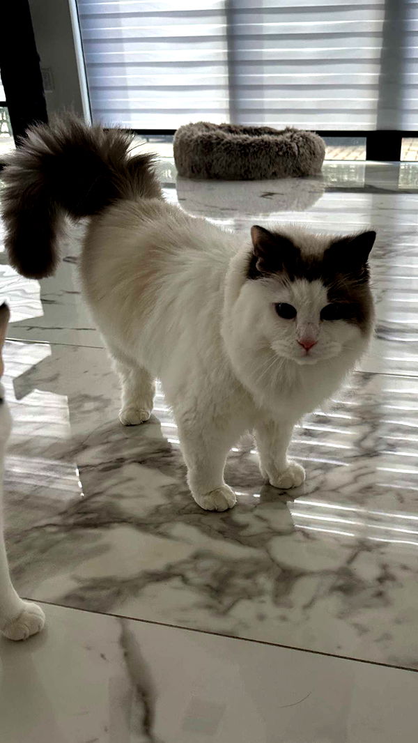 yaslenxoxo image ~ Altpins