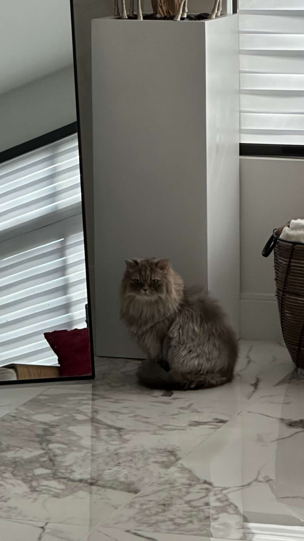 yaslenxoxo snapchat image archive image