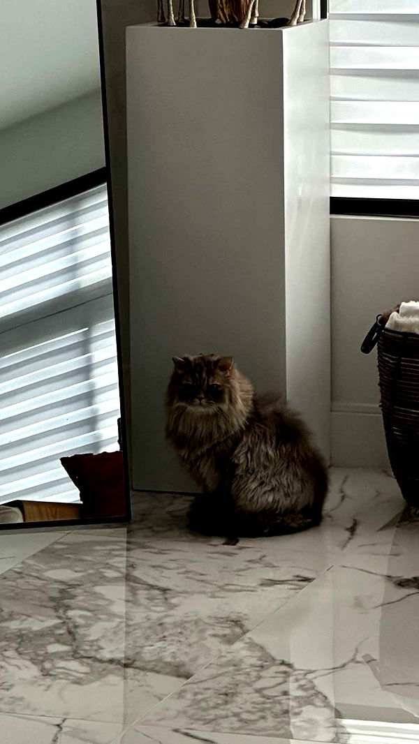 yaslenxoxo image ~ Altpins