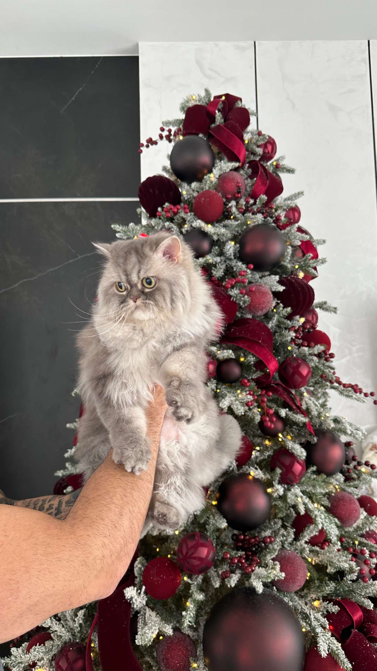 yaslenxoxo snapchat image archive image