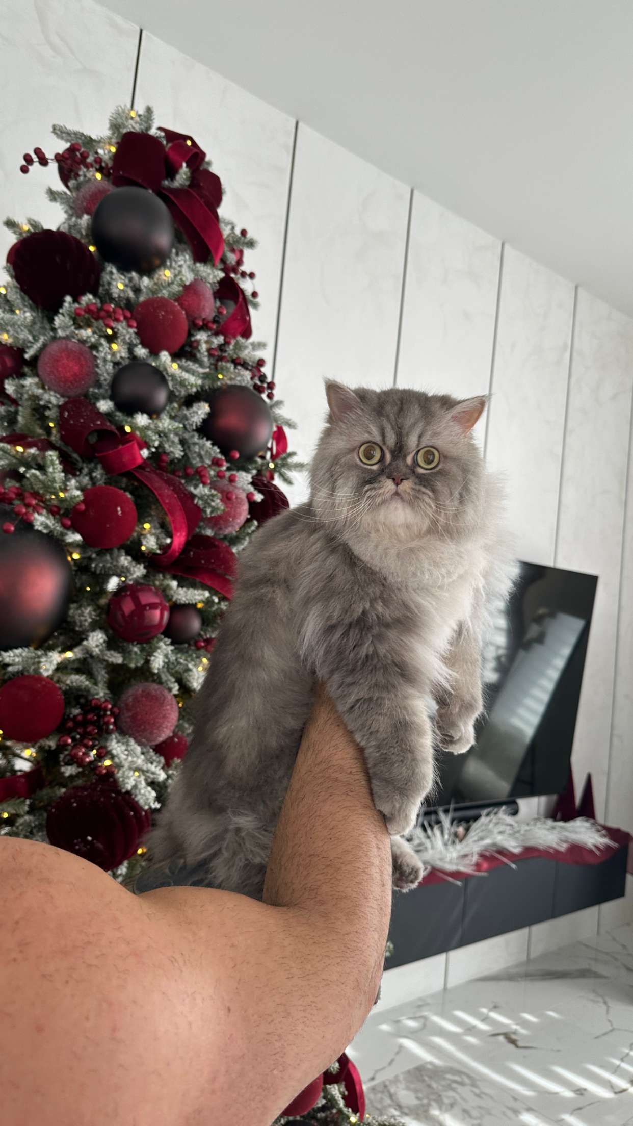 yaslenxoxo snapchat image archive image