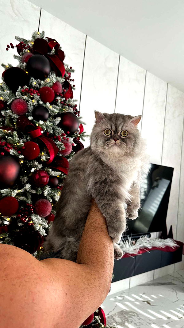 yaslenxoxo image ~ Altpins