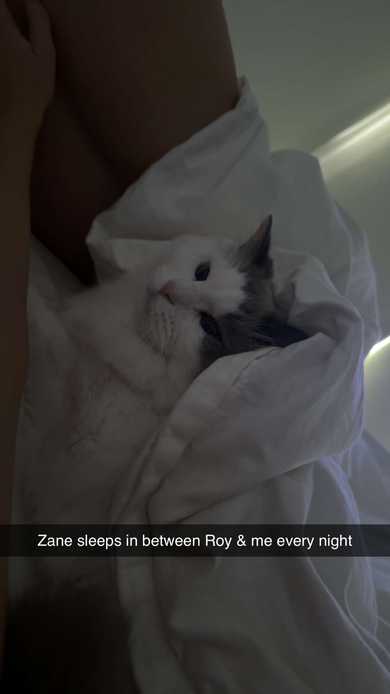 yaslenxoxo snapchat image archive image