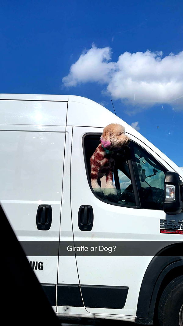 yaslenxoxo image ~ Altpins