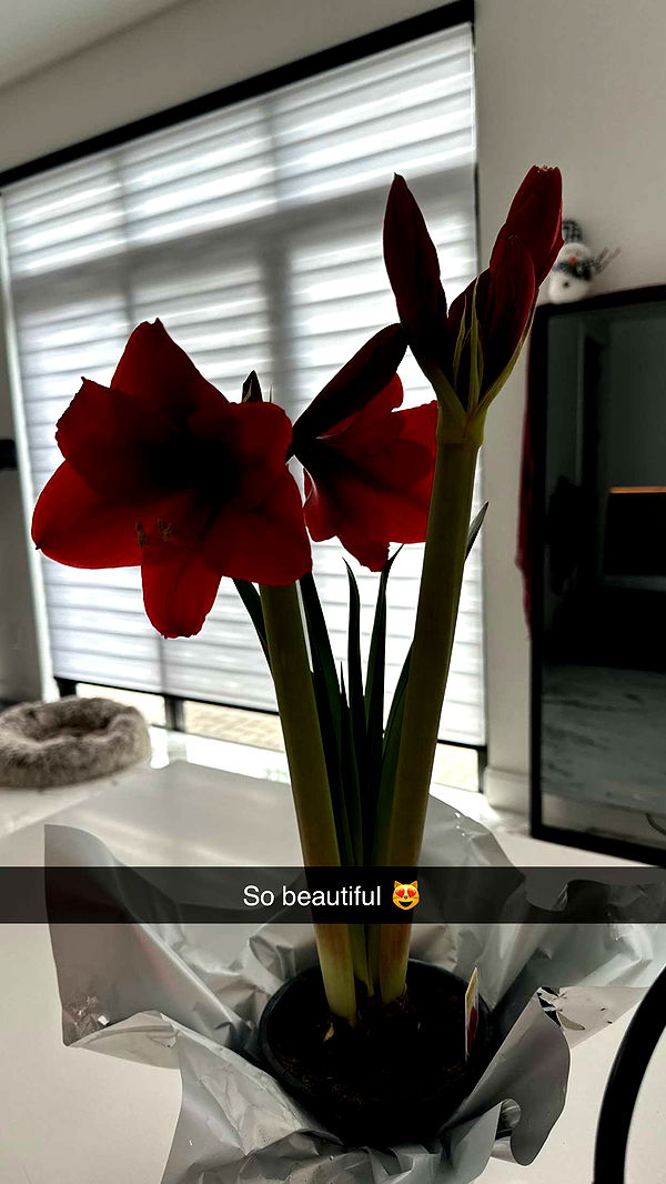 yaslenxoxo image ~ Altpins