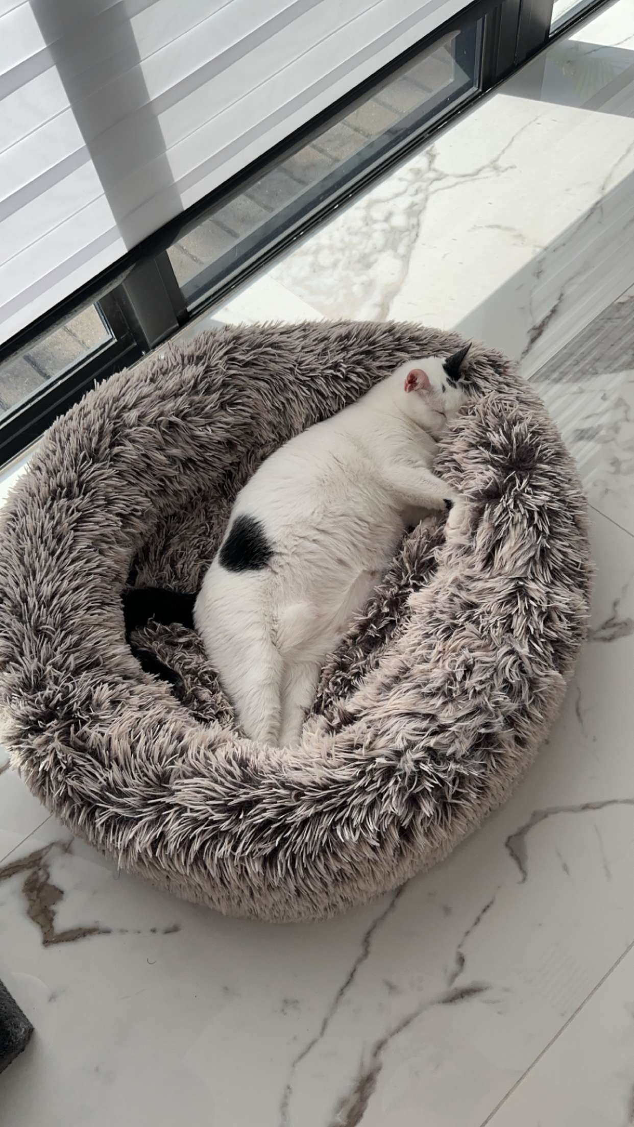 yaslenxoxo snapchat image archive image