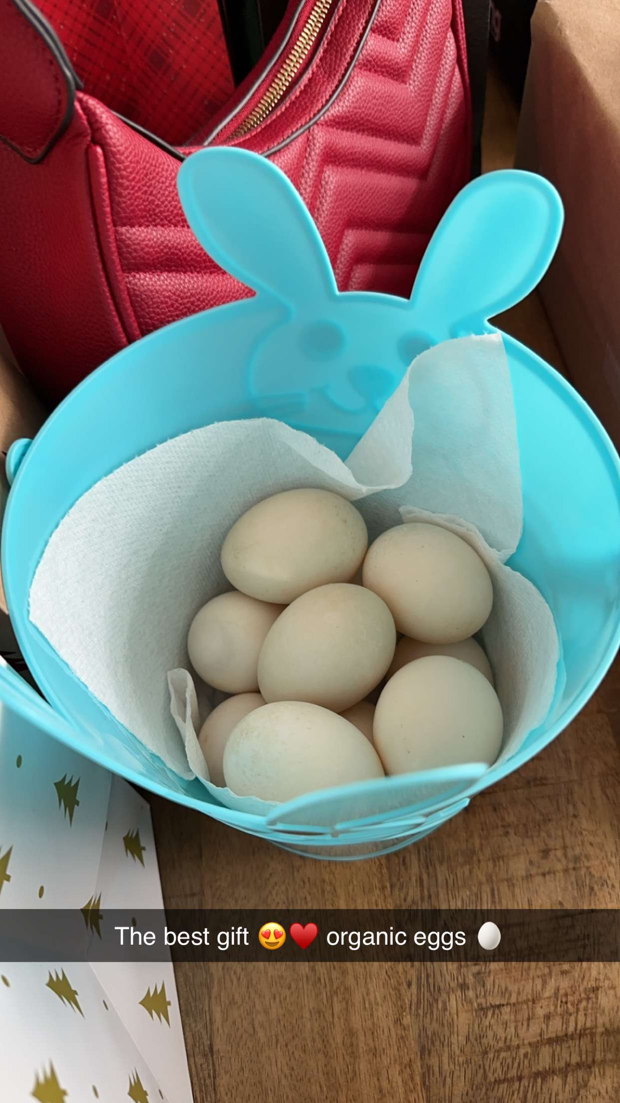 yaslenxoxo snapchat image archive image