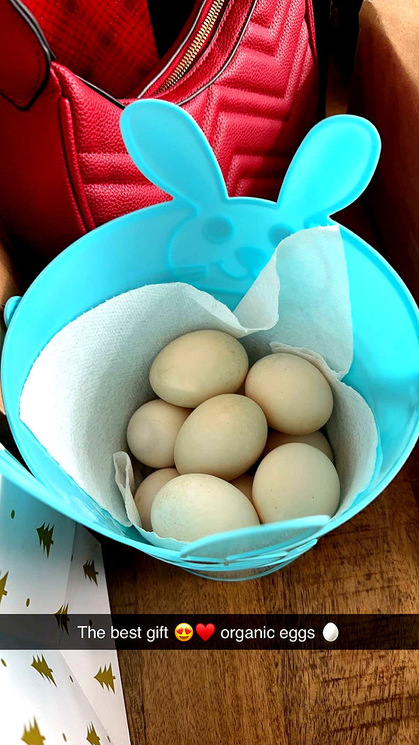 yaslenxoxo image ~ Altpins