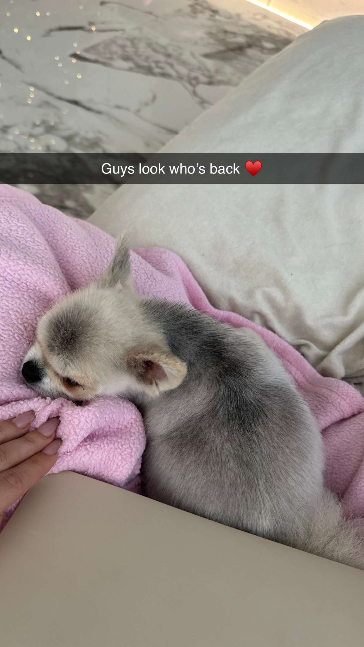 yaslenxoxo snapchat image archive image