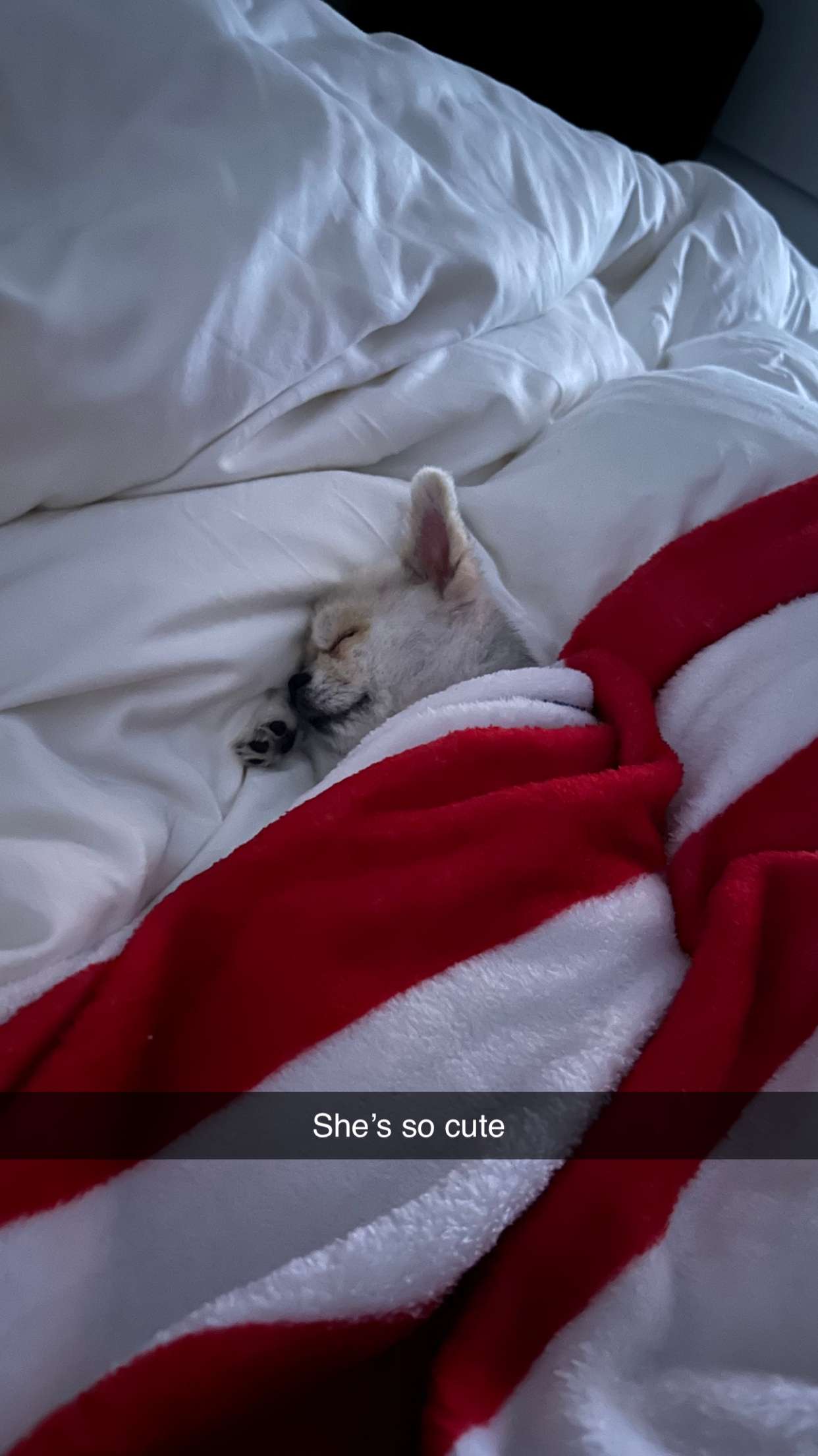 yaslenxoxo snapchat image archive image