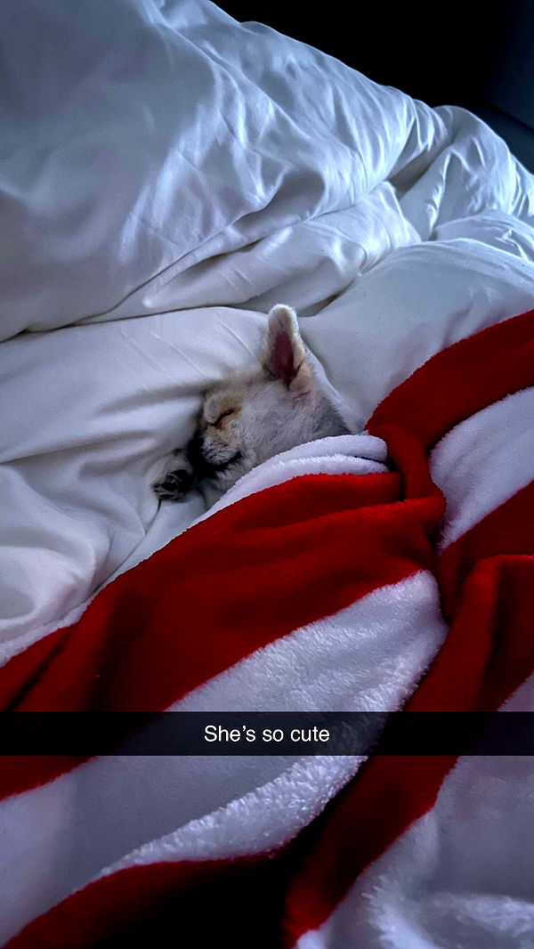 yaslenxoxo image ~ Altpins