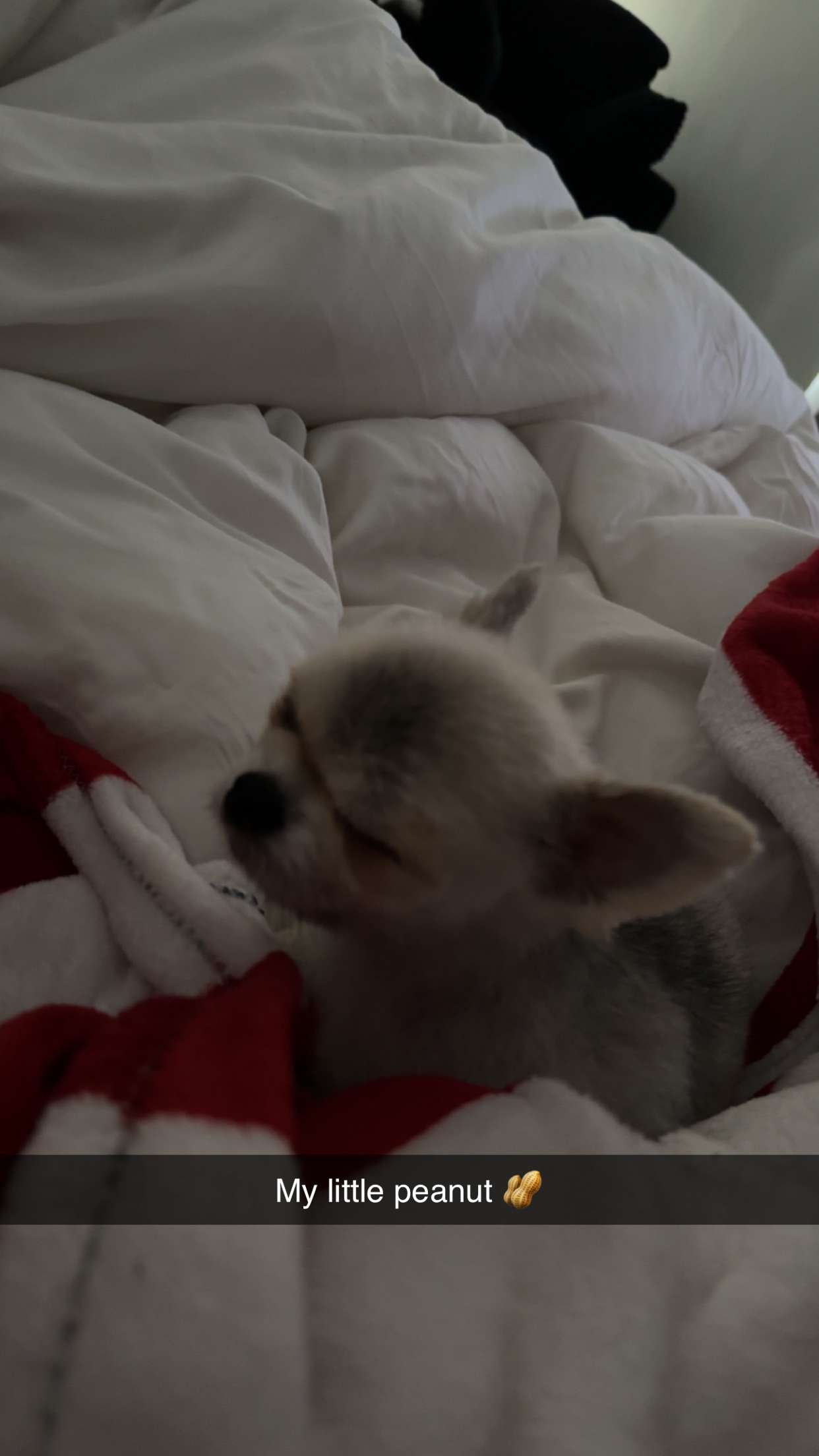 yaslenxoxo snapchat image archive image