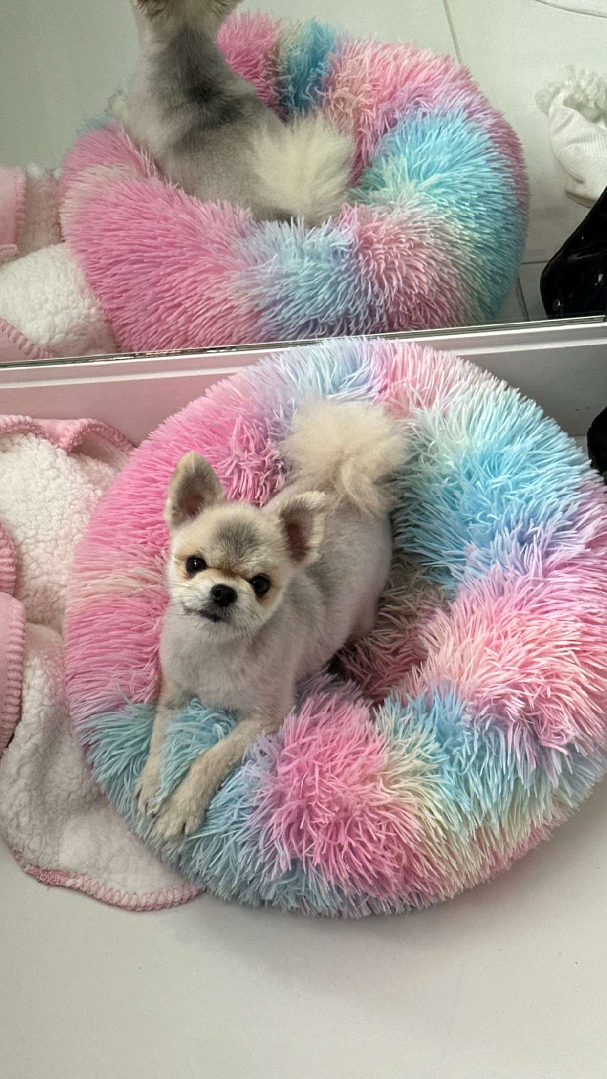 yaslenxoxo snapchat image archive image