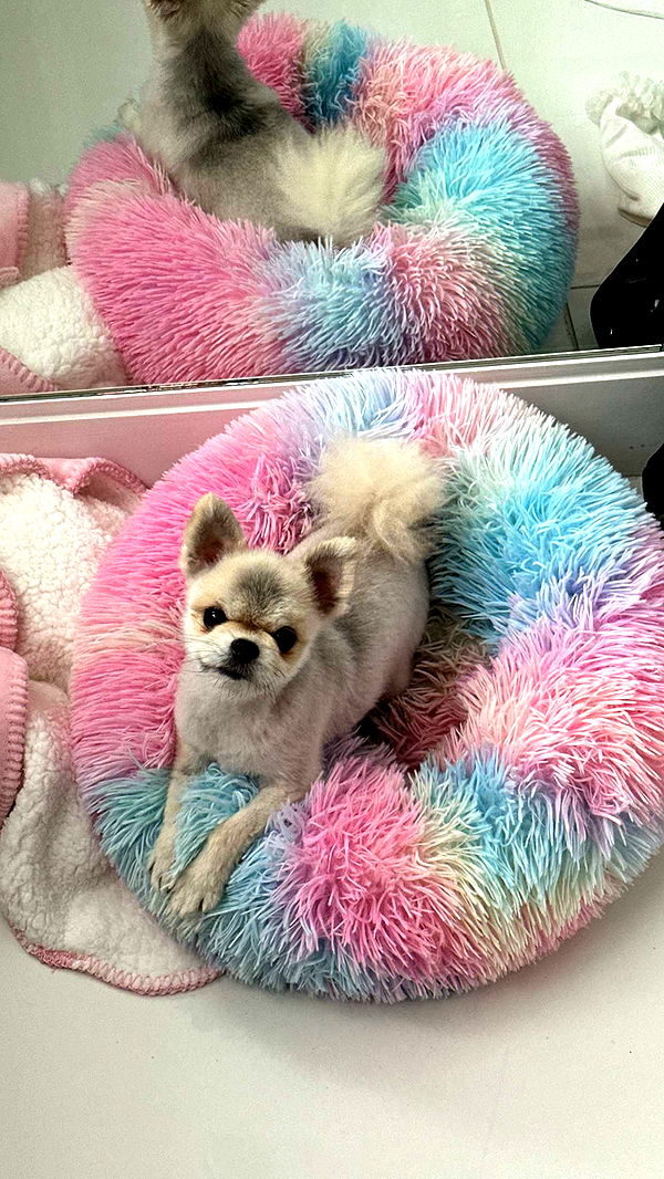 yaslenxoxo image ~ Altpins