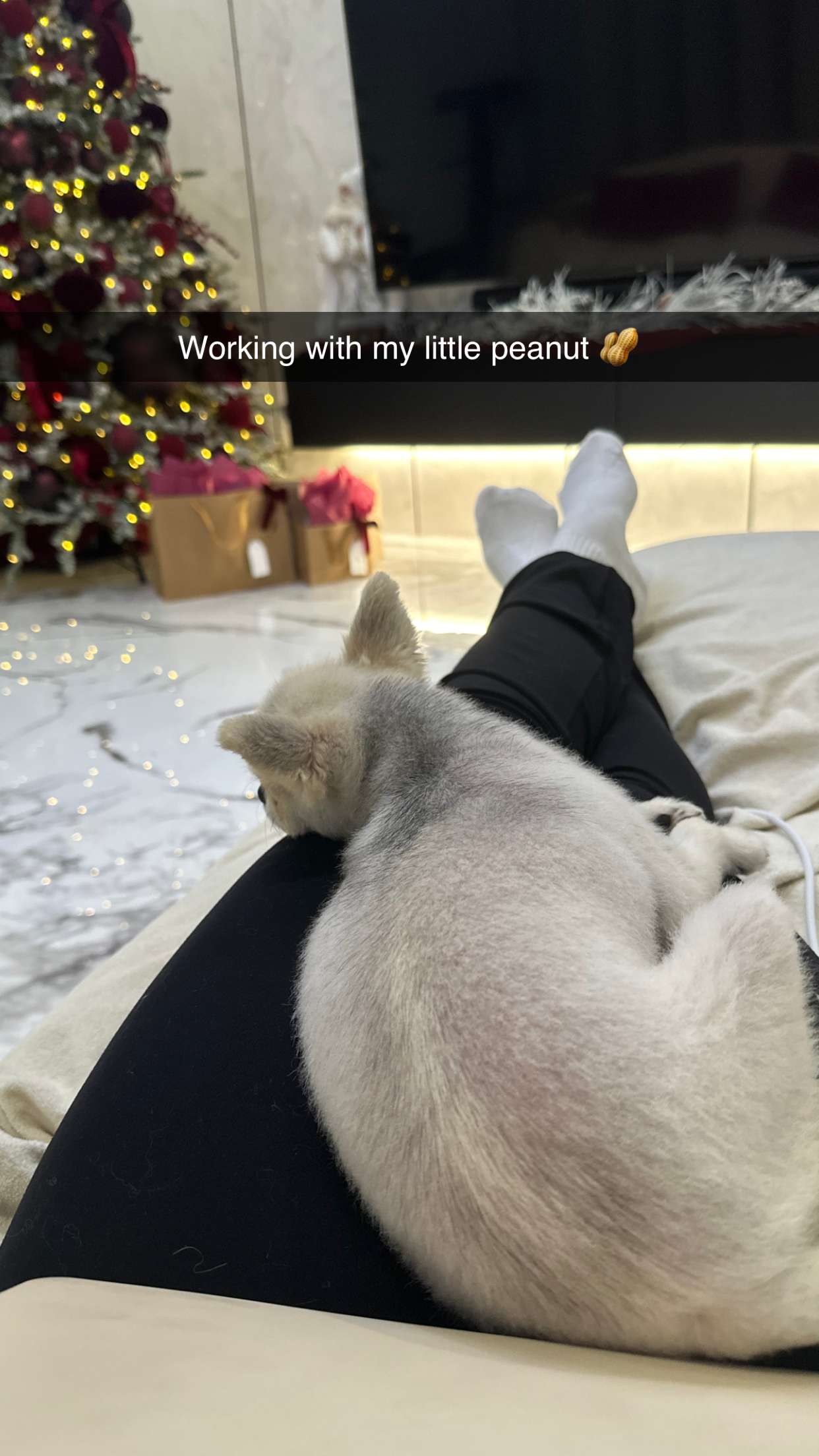 yaslenxoxo snapchat image archive image