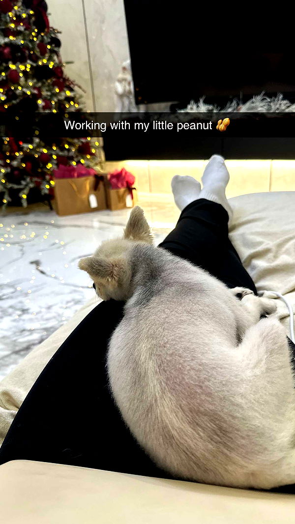 yaslenxoxo image ~ Altpins