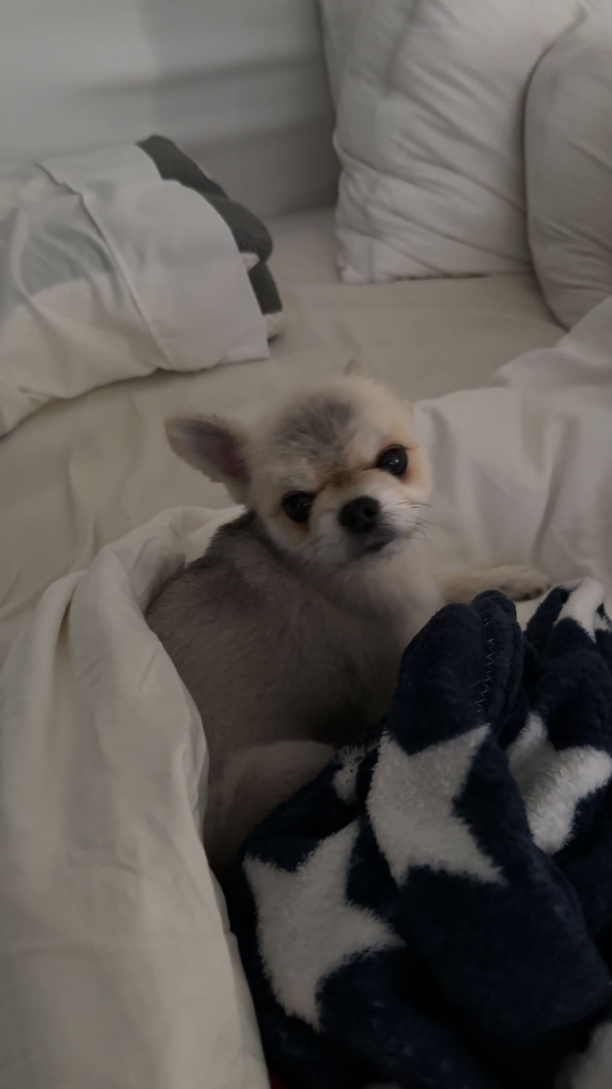 yaslenxoxo snapchat image archive image