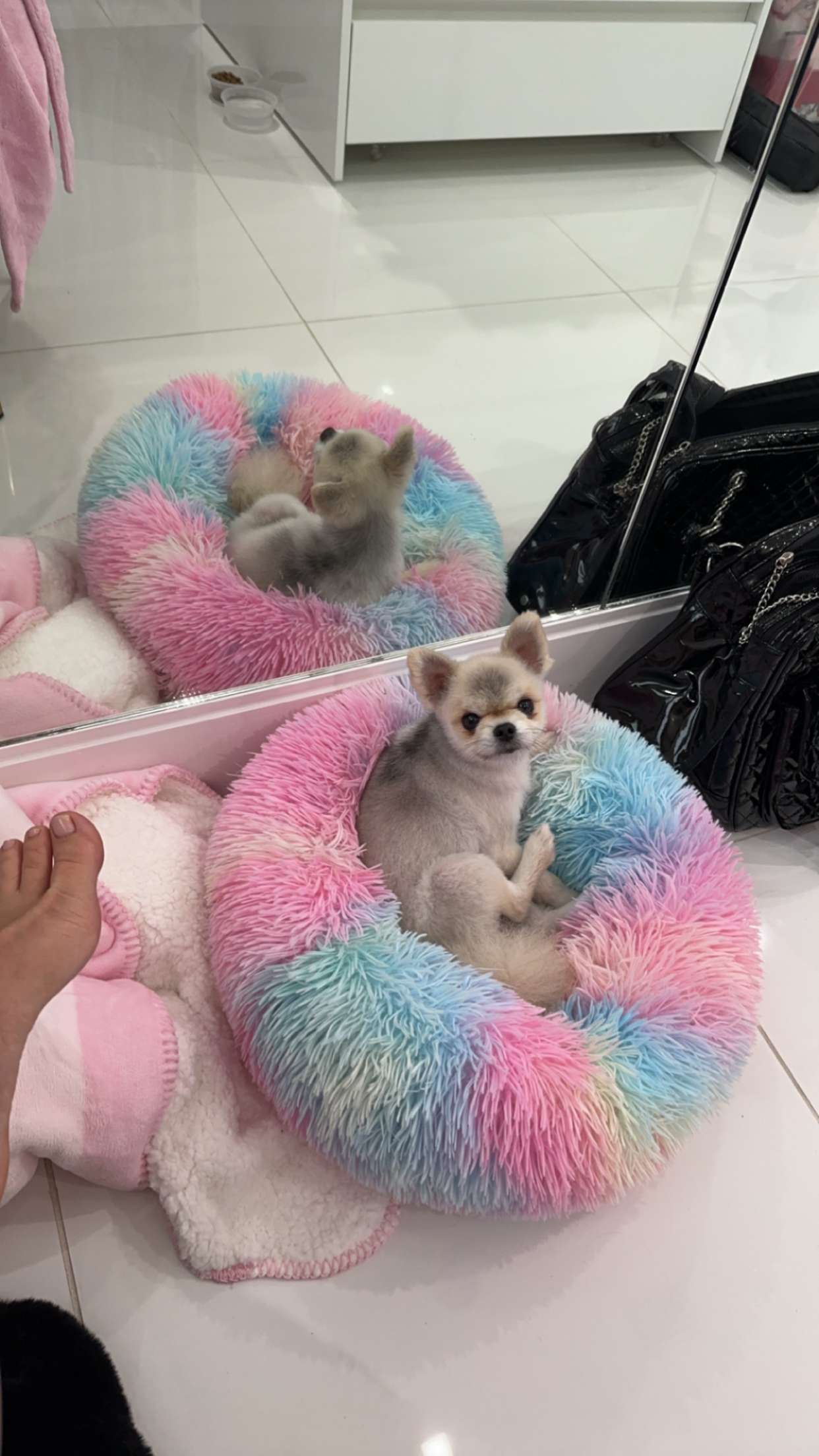 yaslenxoxo snapchat image archive image