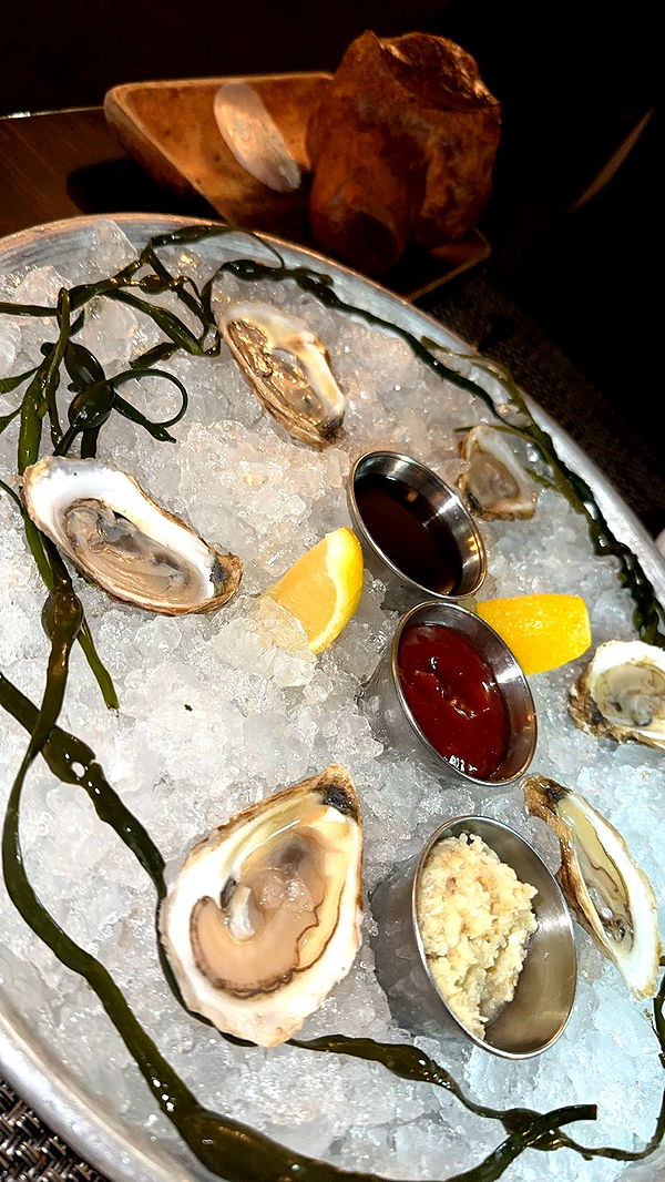 yaslenxoxo image ~ Altpins