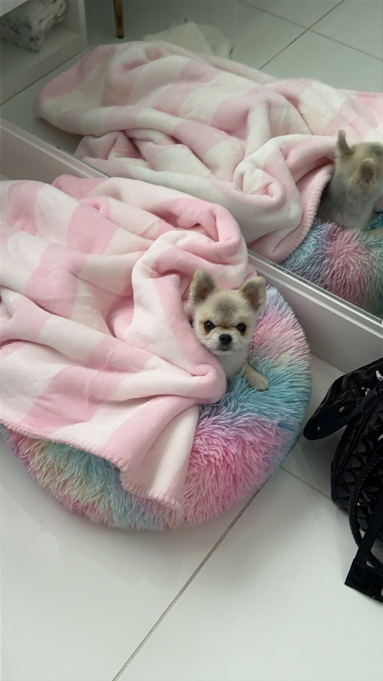 yaslenxoxo snapchat image archive image