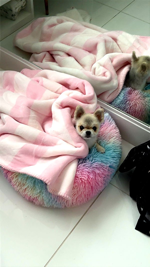 yaslenxoxo image ~ Altpins