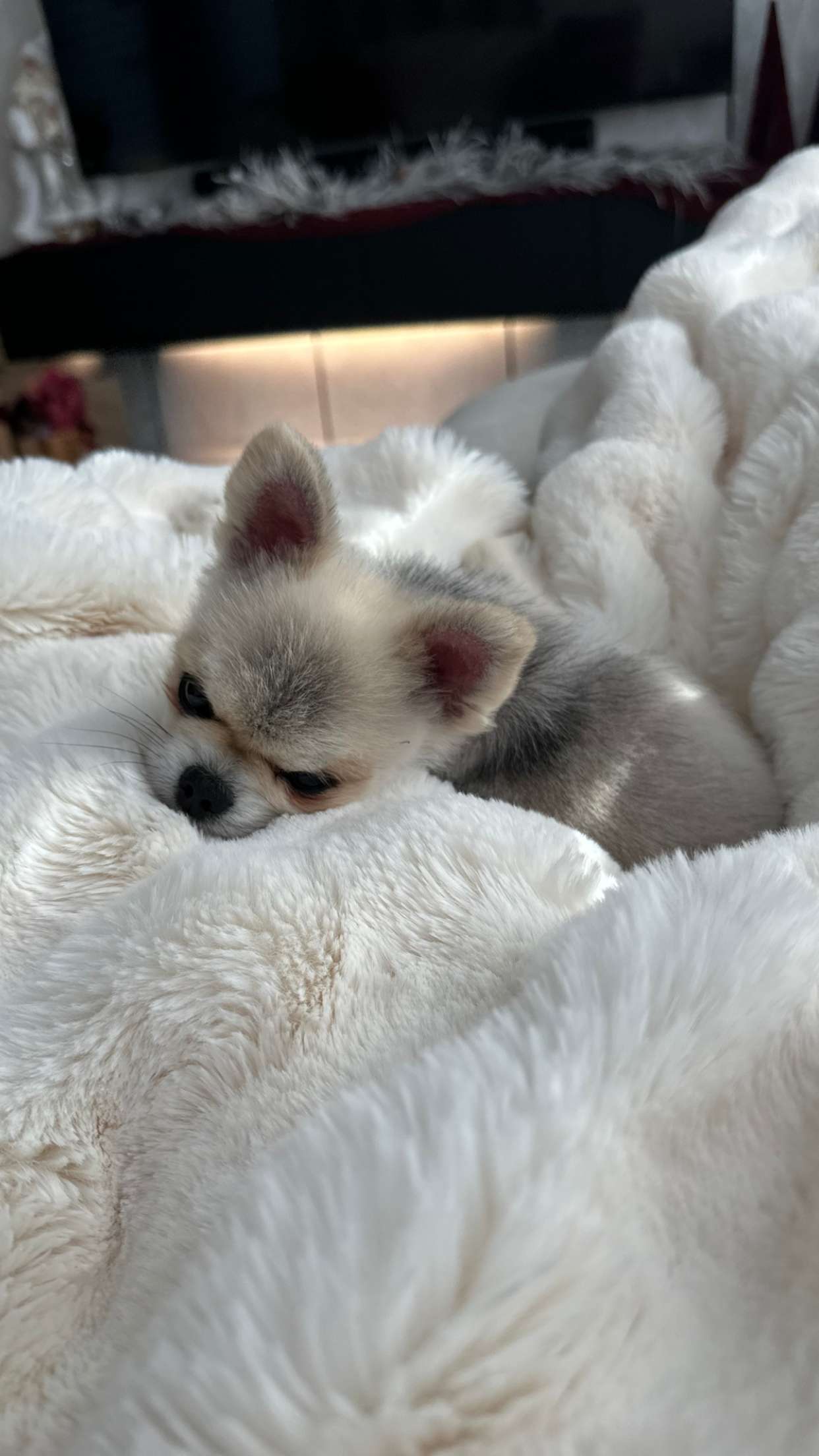 yaslenxoxo snapchat image archive image