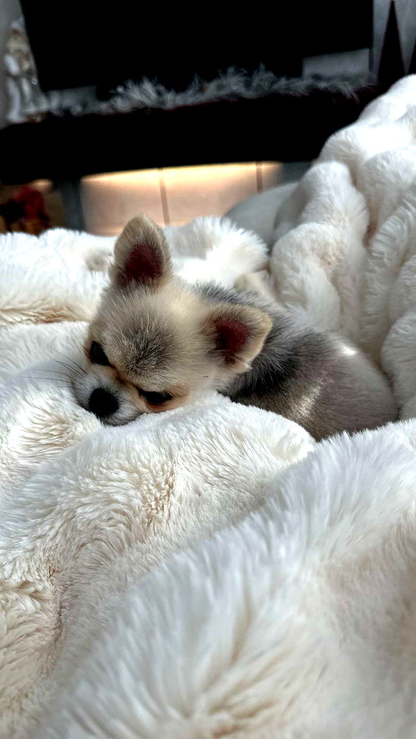 yaslenxoxo image ~ Altpins