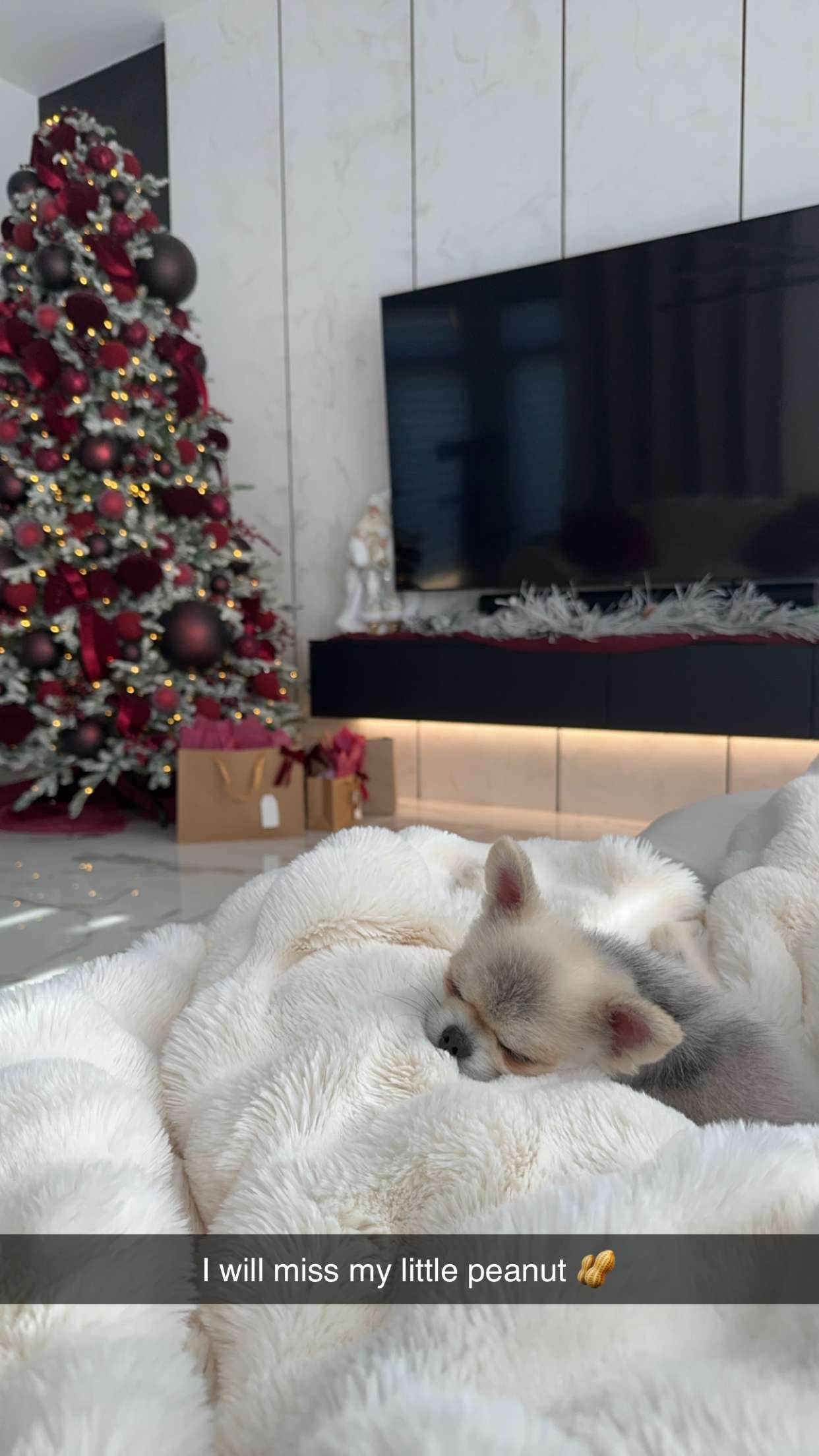 yaslenxoxo snapchat image archive image