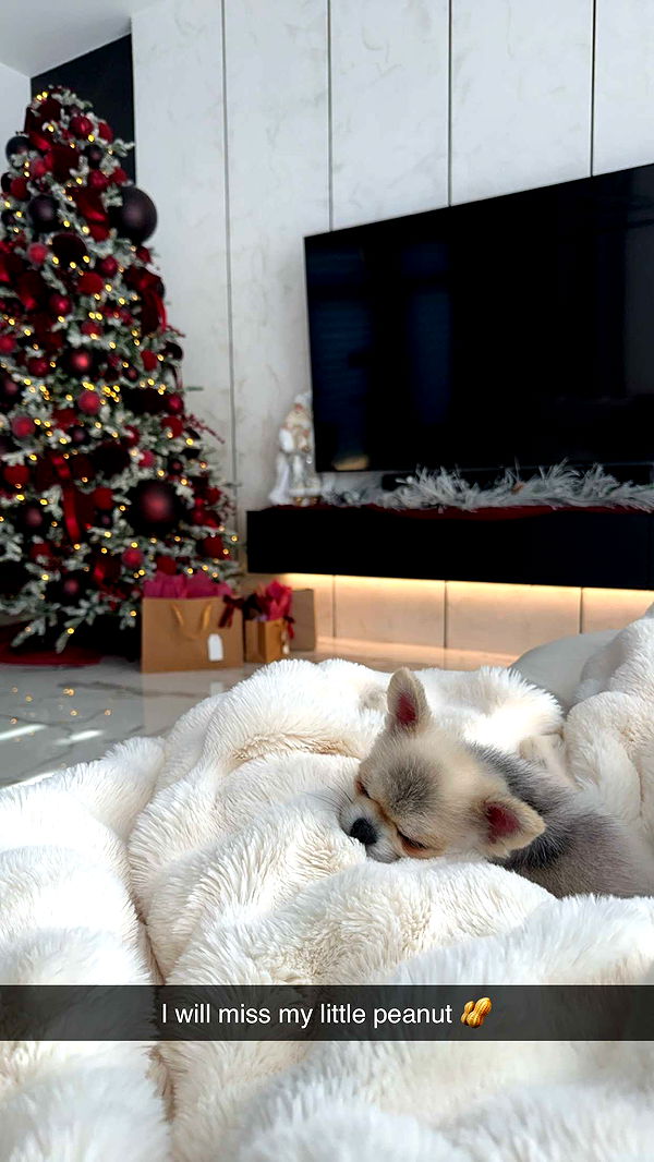 yaslenxoxo image ~ Altpins