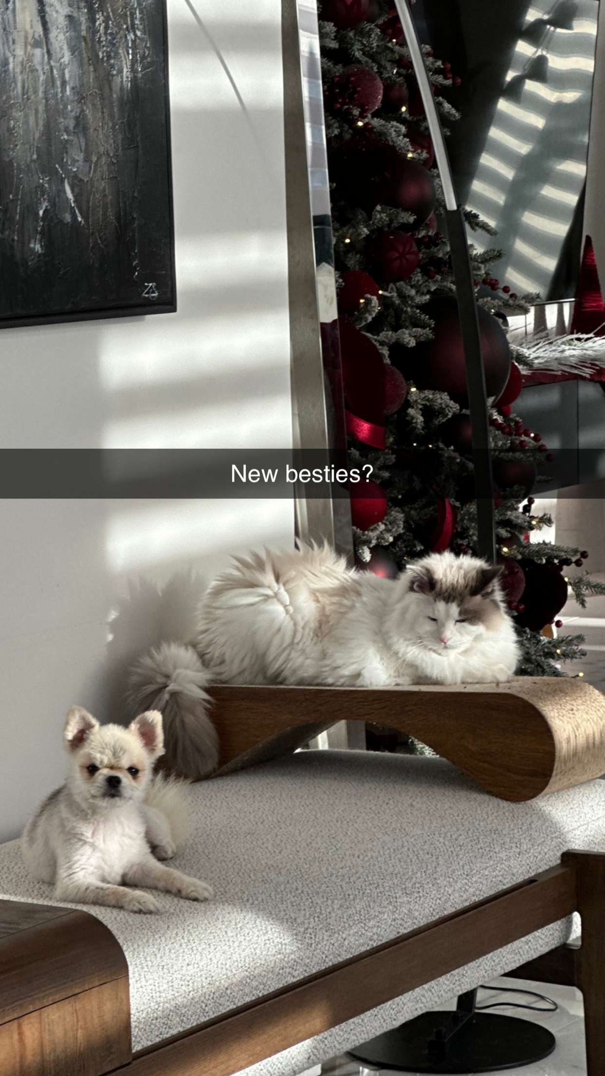 yaslenxoxo snapchat image archive image