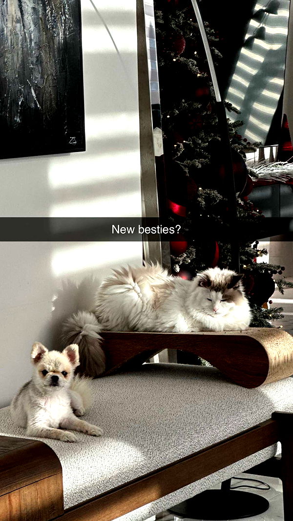 yaslenxoxo image ~ Altpins