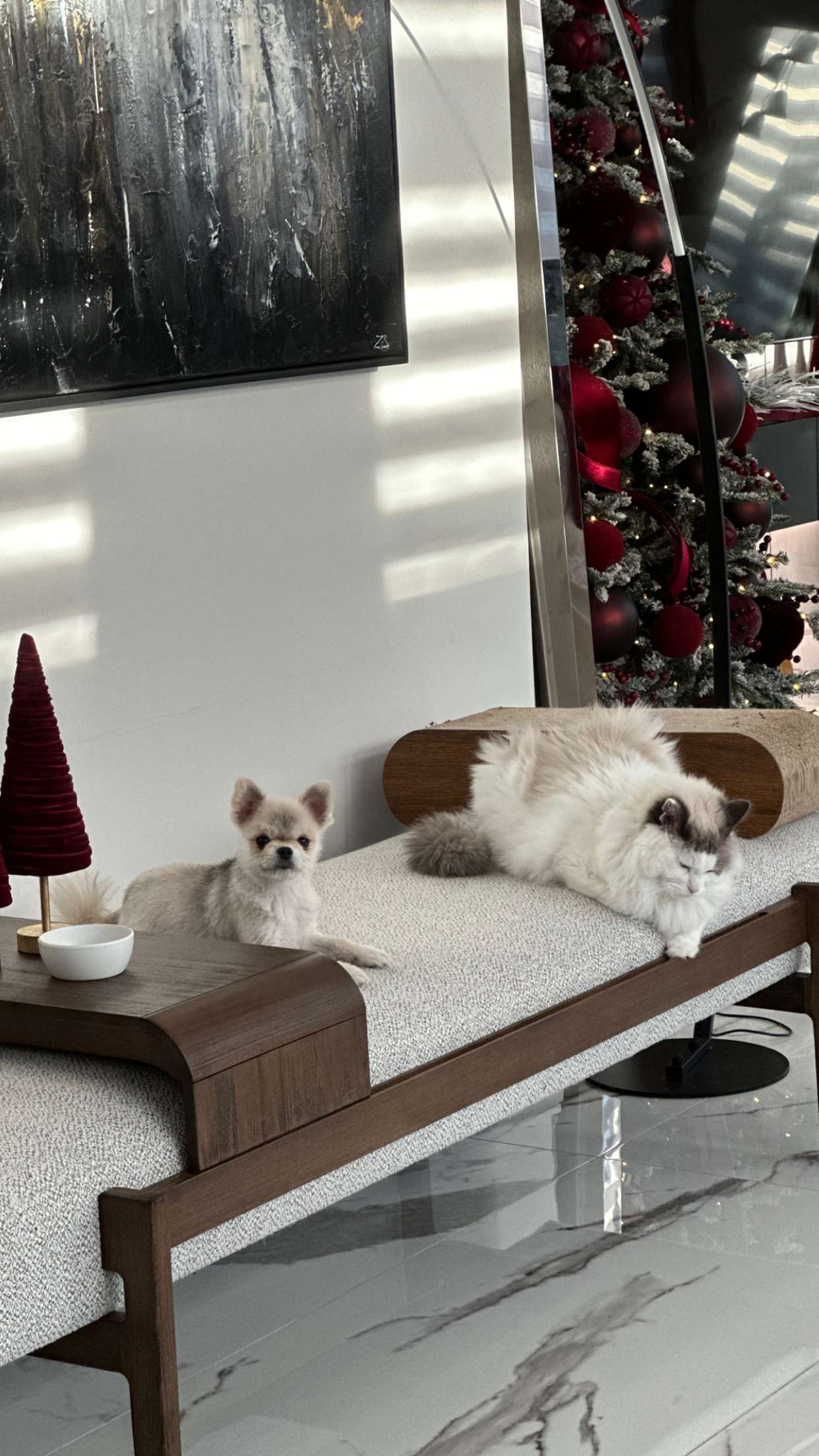 yaslenxoxo snapchat image archive image