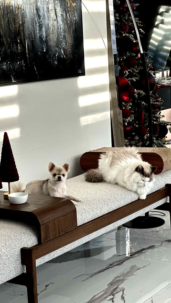 yaslenxoxo image ~ Altpins