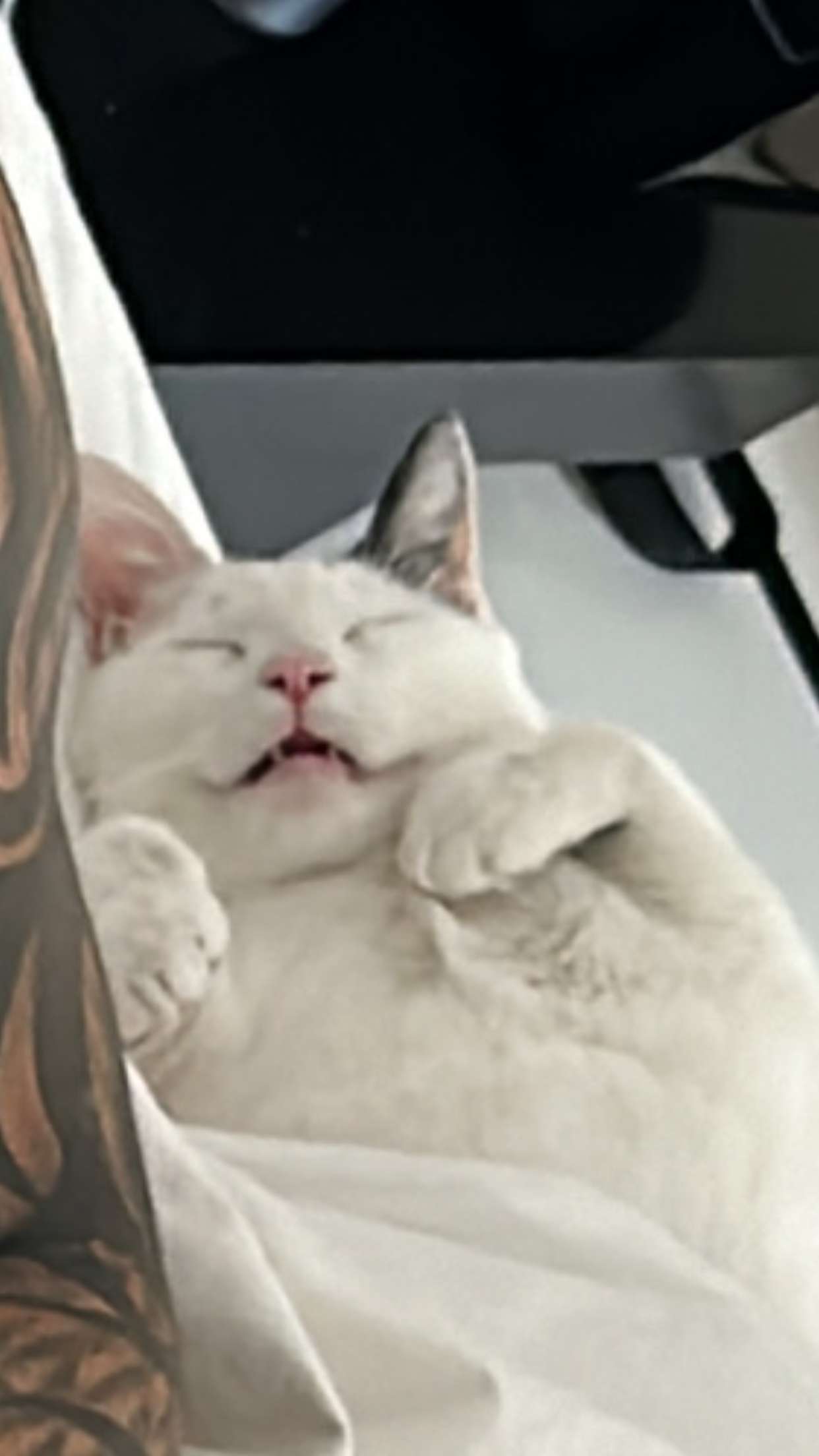 yaslenxoxo snapchat image archive image