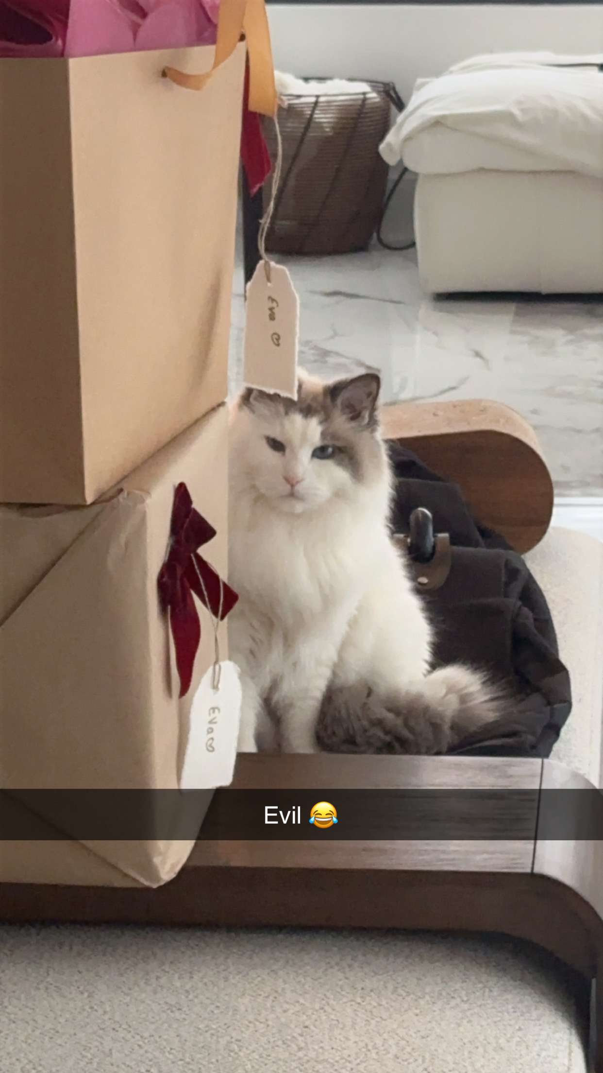 yaslenxoxo snapchat image archive image