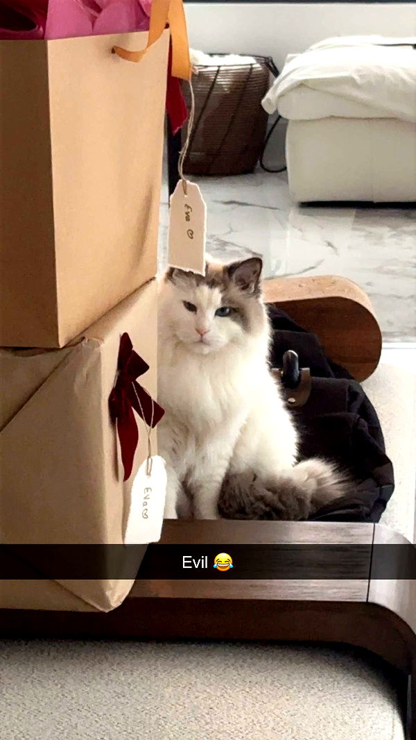 yaslenxoxo image ~ Altpins