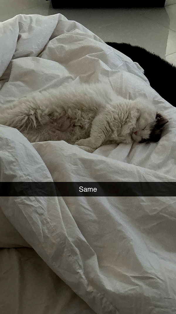 yaslenxoxo image ~ Altpins