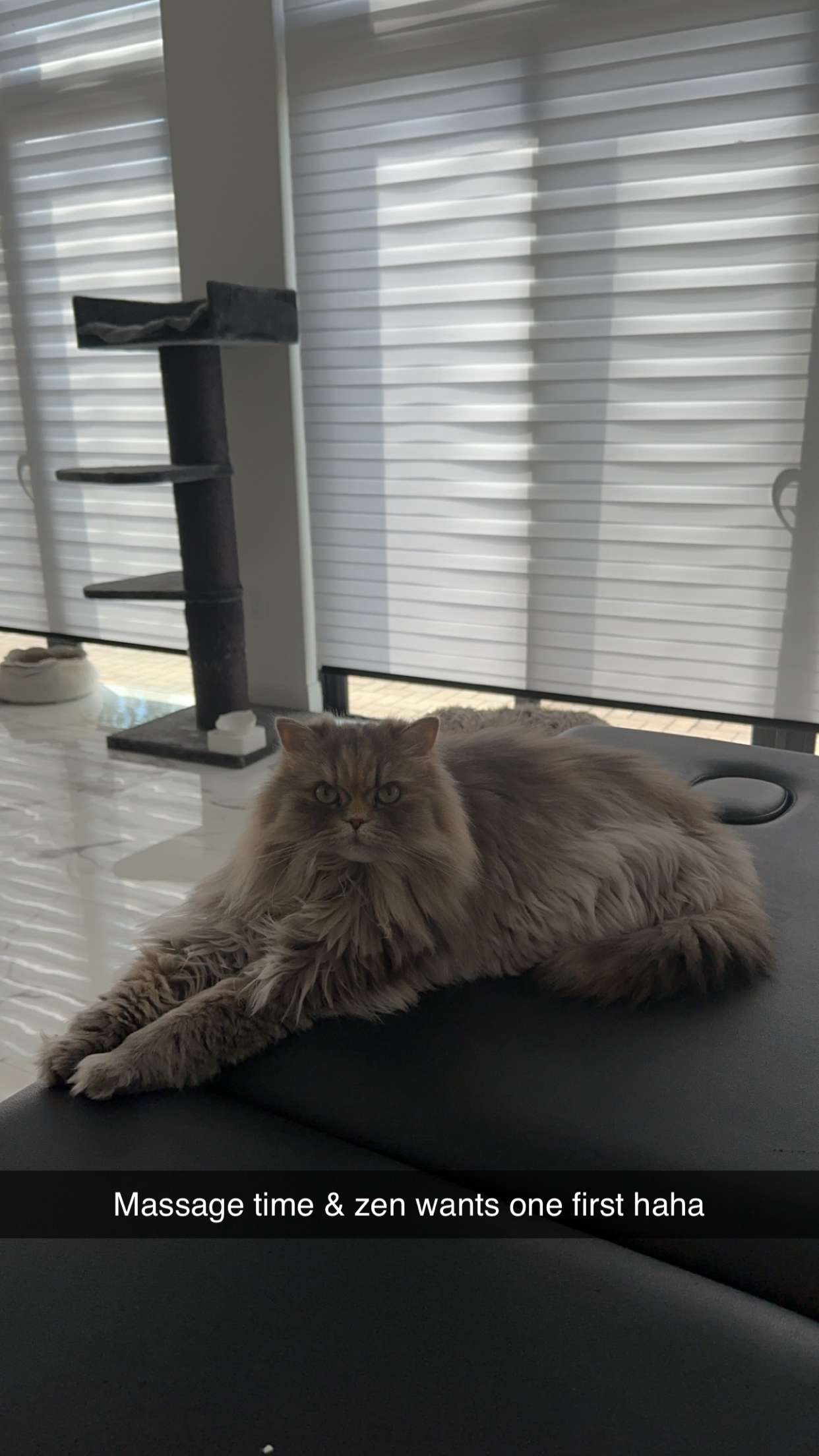 yaslenxoxo snapchat image archive image