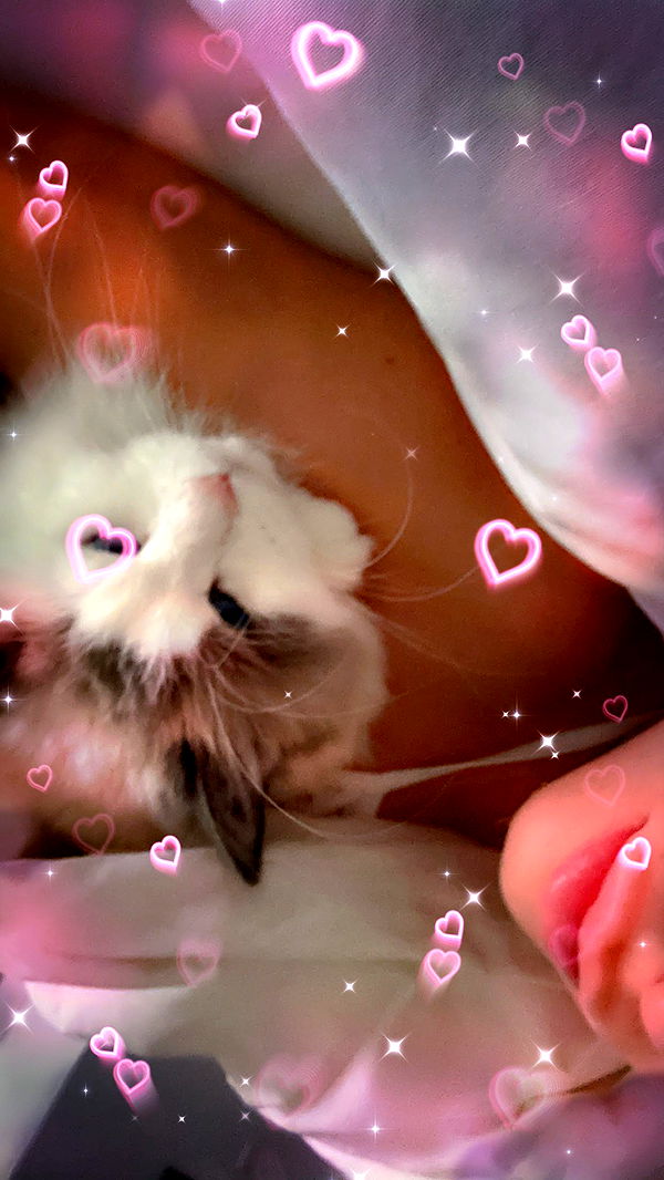 yaslenxoxo image ~ Altpins