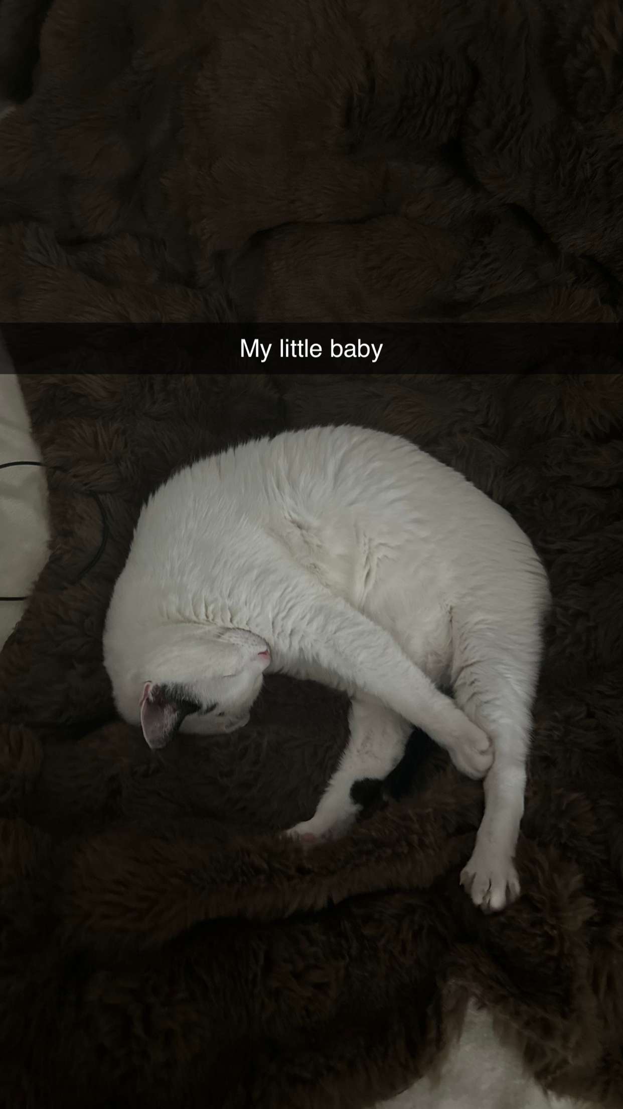 yaslenxoxo snapchat image archive image