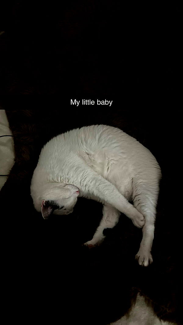 yaslenxoxo image ~ Altpins