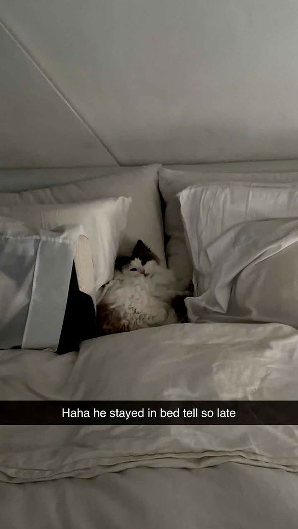 yaslenxoxo image ~ Altpins