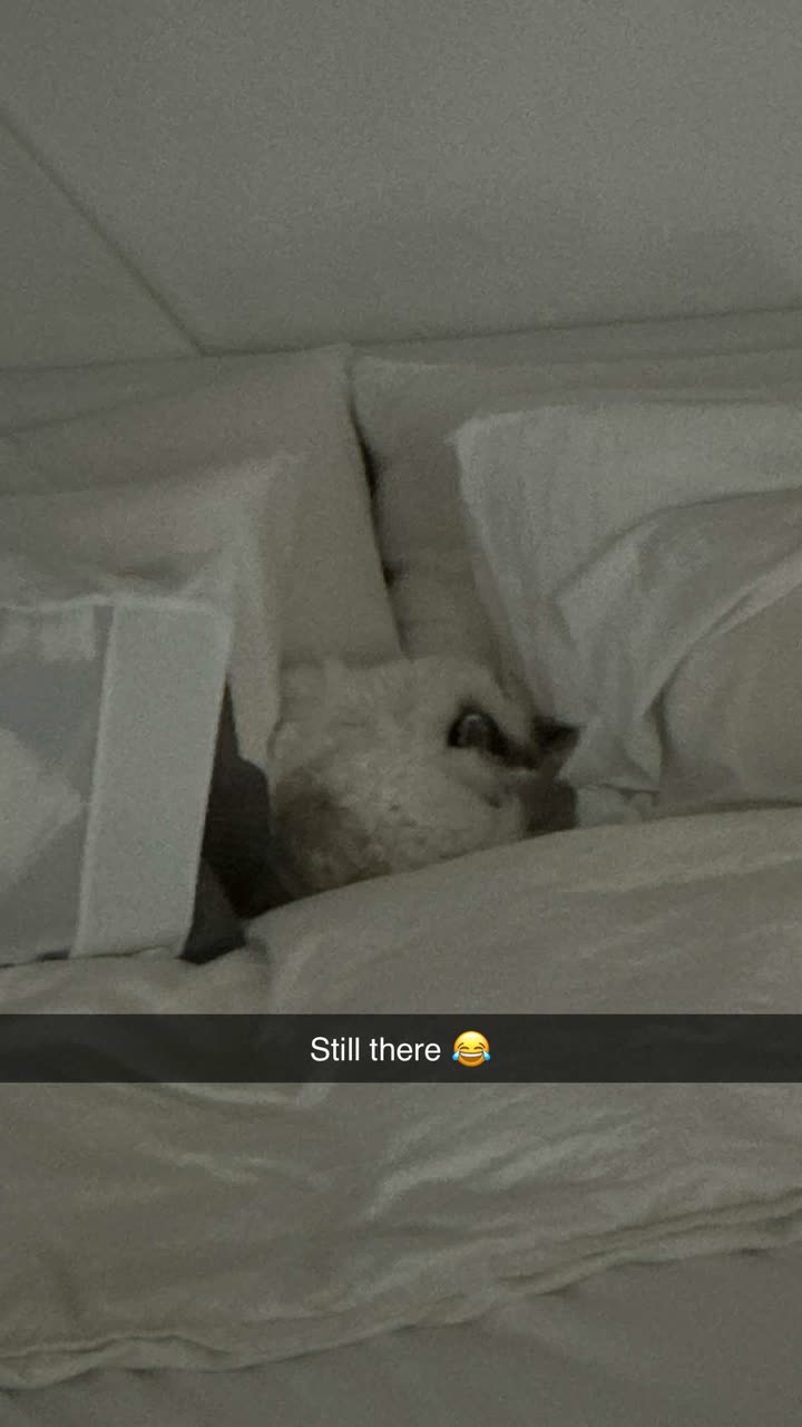 yaslenxoxo snapchat image archive image