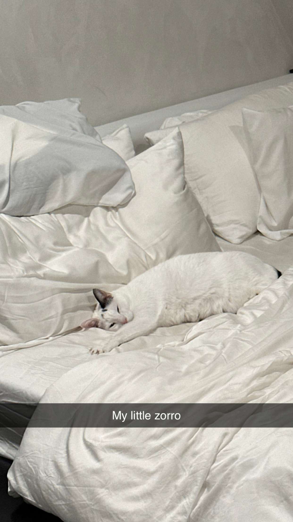 yaslenxoxo snapchat image archive image