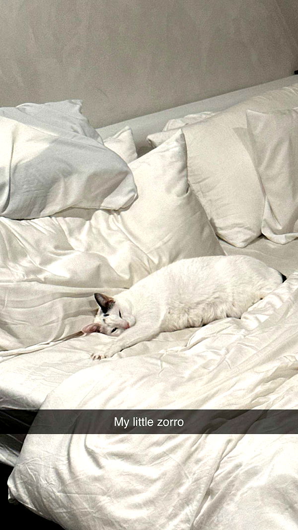 yaslenxoxo image ~ Altpins