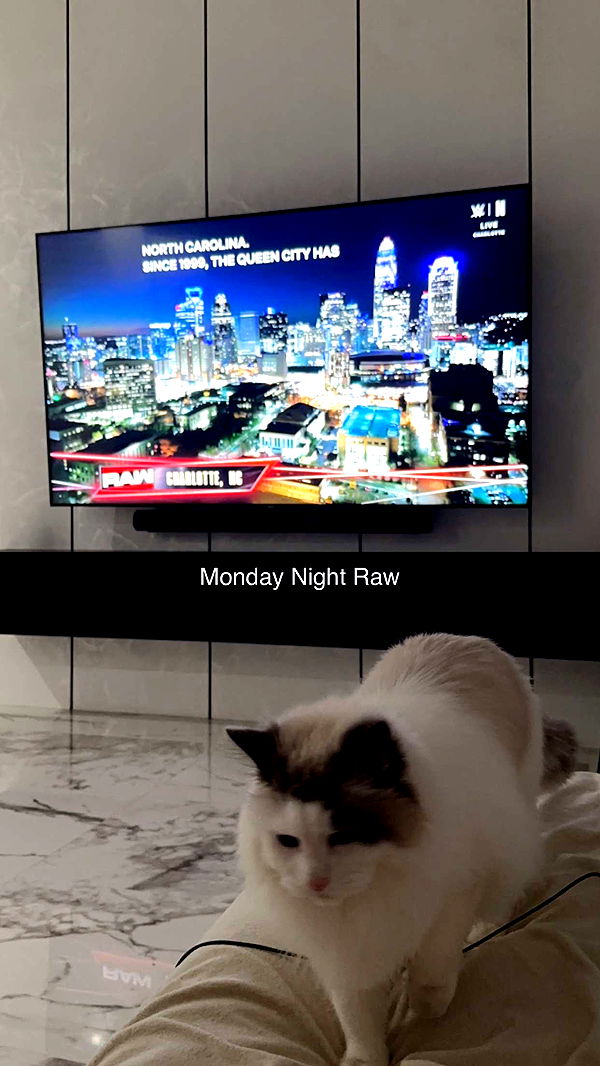 yaslenxoxo image ~ Altpins