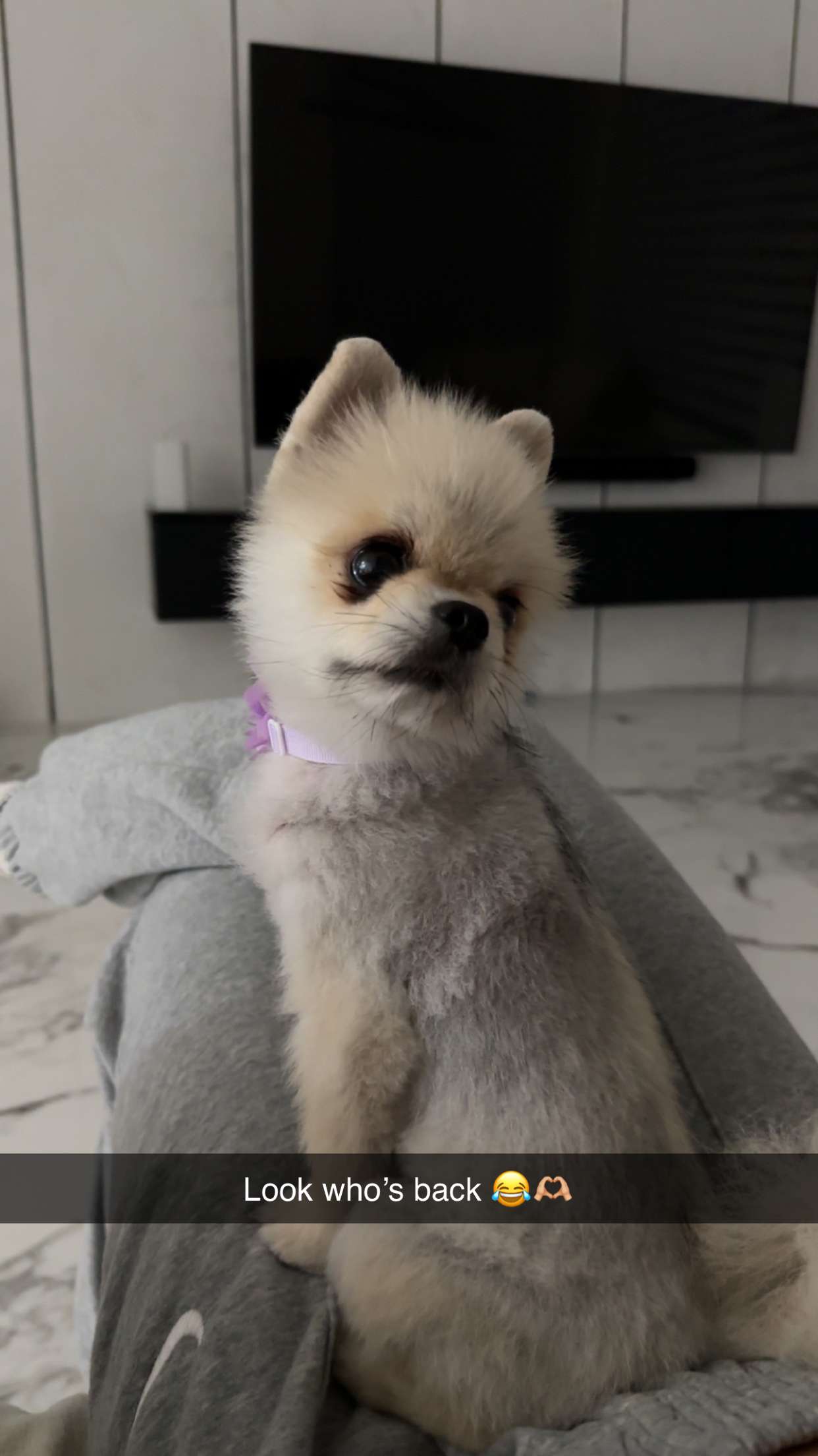 yaslenxoxo snapchat image archive image