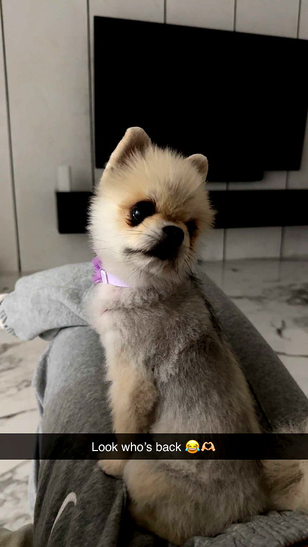 yaslenxoxo image ~ Altpins