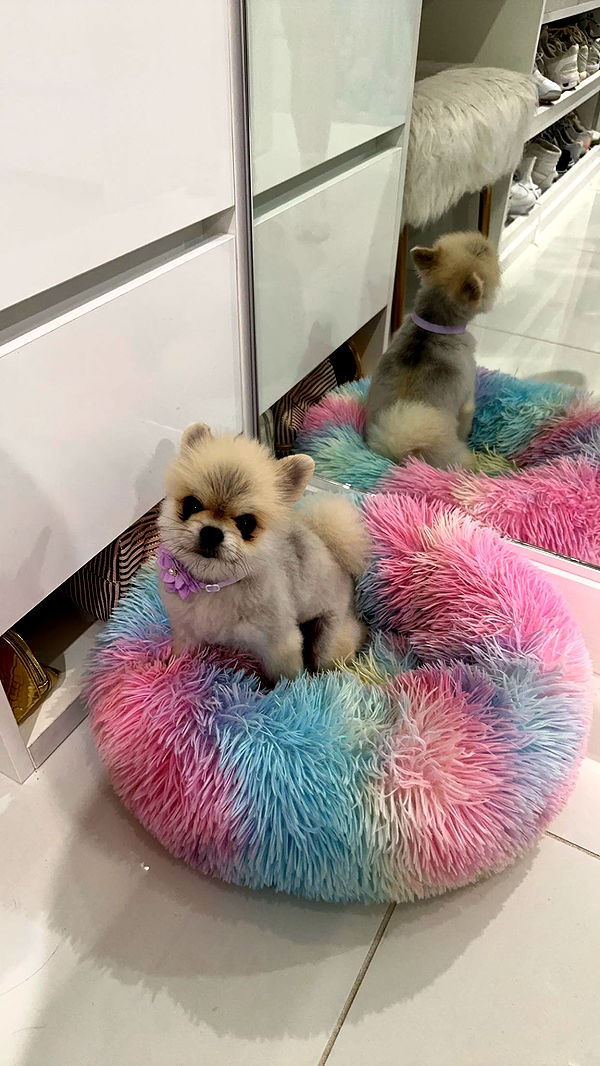 yaslenxoxo image ~ Altpins